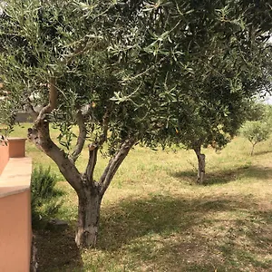 Appartement Domo Baronia 